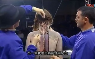 德国医学男女生殖解剖视频教程(男女解剖结构和生理特点的不同点)