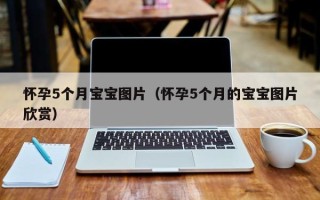 怀孕5个月宝宝图片（怀孕5个月的宝宝图片欣赏）