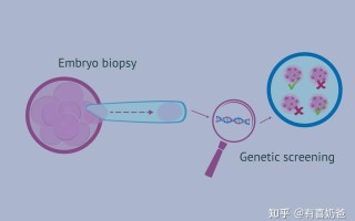 我想知道试管婴儿的原理(我想知道试管婴儿的原理英语)