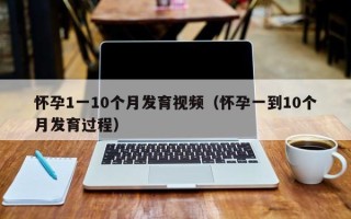 怀孕1一10个月发育视频（怀孕一到10个月发育过程）