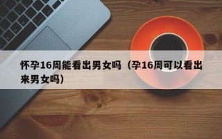 怀孕16周能看出男女吗（孕16周可以看出来男女吗）