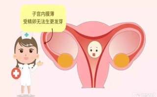 女性没有了子宫怎么做试管婴儿(女性没有了子宫怎么做试管婴儿呢)