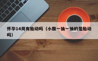 怀孕14周有胎动吗（小腹一抽一抽的是胎动吗）