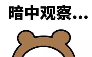 你见过最冷静的人是怎么样的？(你觉得你最冷静的一刻,是什么时候?)