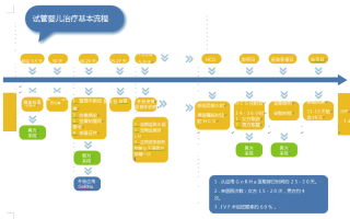 试管婴儿详细流程分享(试管婴儿的流程是什么样)