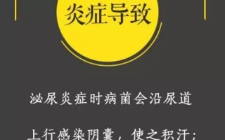 男性生殖健康知识有哪些(男性生殖健康知识有哪些内容)