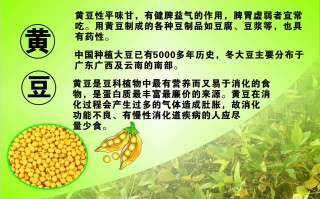 黄豆水的功效与作用(红糖黄豆水的功效与作用)