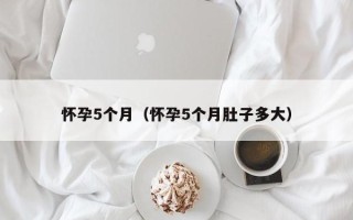 怀孕5个月（怀孕5个月肚子多大）