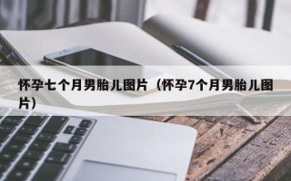 怀孕七个月男胎儿图片（怀孕7个月男胎儿图片）
