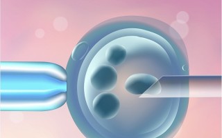 试管助孕过程(试管助孕方式ivf)