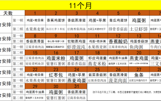 11个月了宝宝饮食安排(11个多月的宝宝食谱怎么安排)