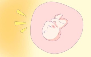 三个半月男女宝宝生殖器官图(三个半月男女宝宝分辨得出来吗)