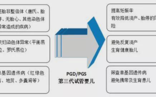 关于试管婴儿的整个流程分几个步骤的信息