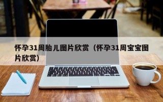 怀孕31周胎儿图片欣赏（怀孕31周宝宝图片欣赏）