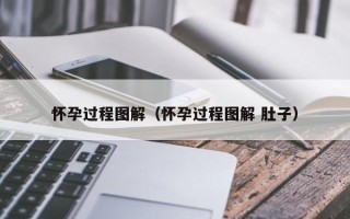 怀孕过程图解（怀孕过程图解 肚子）