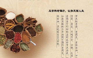 秋日养生活动主题名字大全(秋日养生活动主题名字大全四字)