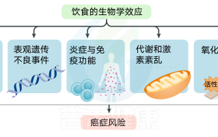 关于健康饮食作息规律的人还是会生病吗的信息