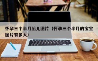 怀孕三个半月胎儿图片（怀孕三个半月的宝宝图片有多大）