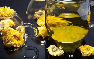 中年人日常泡什么茶喝养生最好(中年人日常泡什么茶喝养生最好呢)