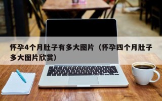怀孕4个月肚子有多大图片（怀孕四个月肚子多大图片欣赏）