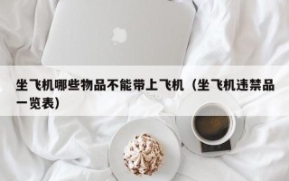 坐飞机哪些物品不能带上飞机（坐飞机违禁品一览表）