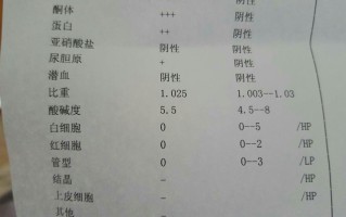 尿检白细胞高(尿检白细胞高怎么降低)