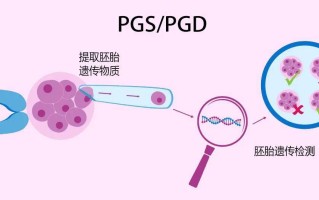 指定性别的试管要多少钱(指定性别的试管要多少钱呢)