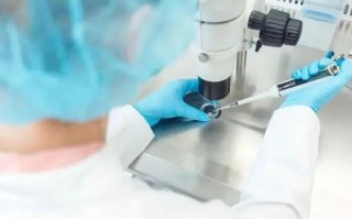 试管生男孩费用(试管生男孩费用高吗)