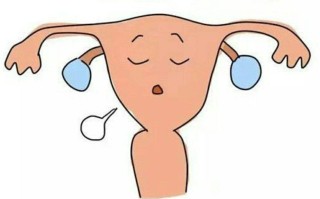 子宫薄了怎么做试管(子宫薄了怎么做试管好)