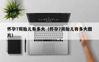 怀孕7周胎儿有多大（怀孕7周胎儿有多大图片）