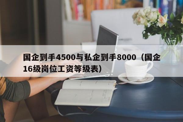 国企到手4500与私企到手8000（国企16级岗位工资等级表）-第1张图片-鲸幼网