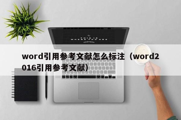 word引用参考文献怎么标注（word2016引用参考文献）-第1张图片-鲸幼网