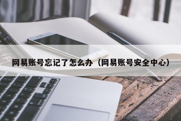 网易账号忘记了怎么办（网易账号安全中心）-第1张图片-鲸幼网