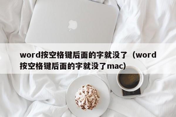 word按空格键后面的字就没了（word按空格键后面的字就没了mac）-第1张图片-鲸幼网