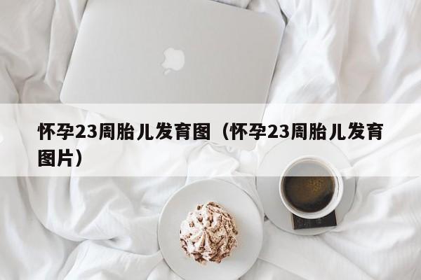 怀孕23周胎儿发育图（怀孕23周胎儿发育图片）-第1张图片-鲸幼网