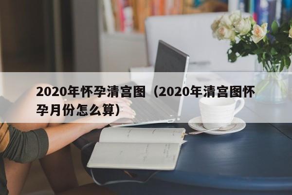 2020年怀孕清宫图（2020年清宫图怀孕月份怎么算）-第1张图片-鲸幼网