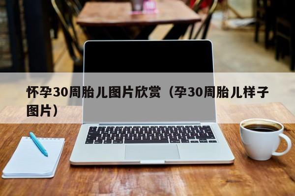 怀孕30周胎儿图片欣赏（孕30周胎儿样子图片）-第1张图片-鲸幼网