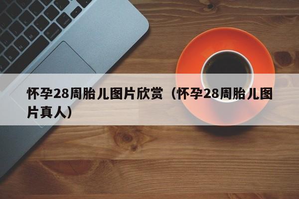 怀孕28周胎儿图片欣赏（怀孕28周胎儿图片真人）-第1张图片-鲸幼网